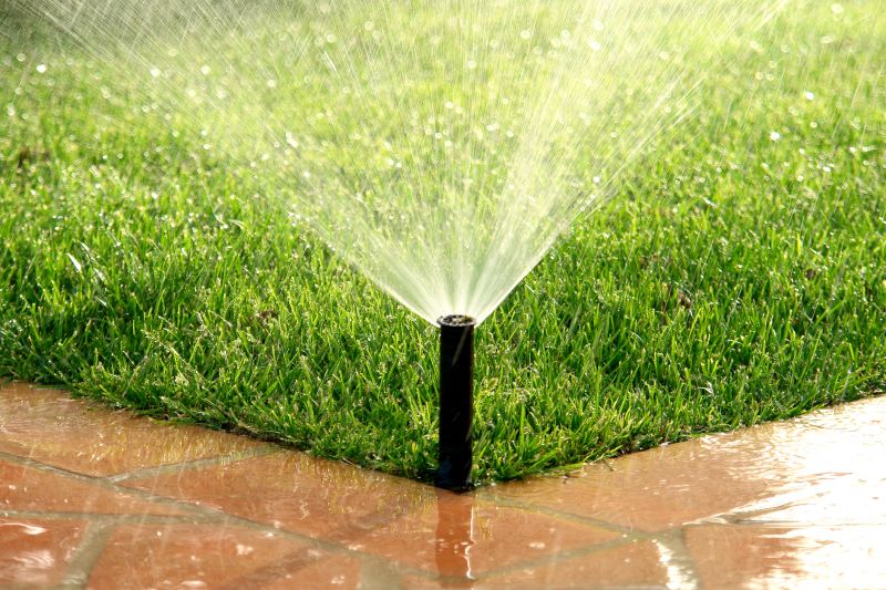 Lawn Sprinkler in Action
